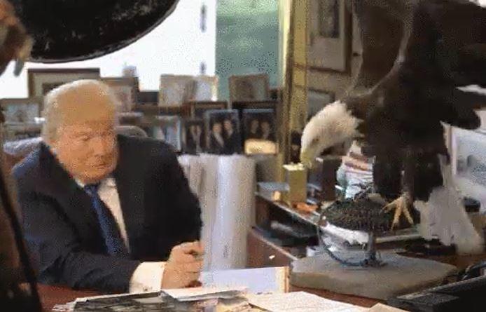 Donald Trump and an eagle featured in the "Who Is More Outrageous: Trump or the Media?" blog.